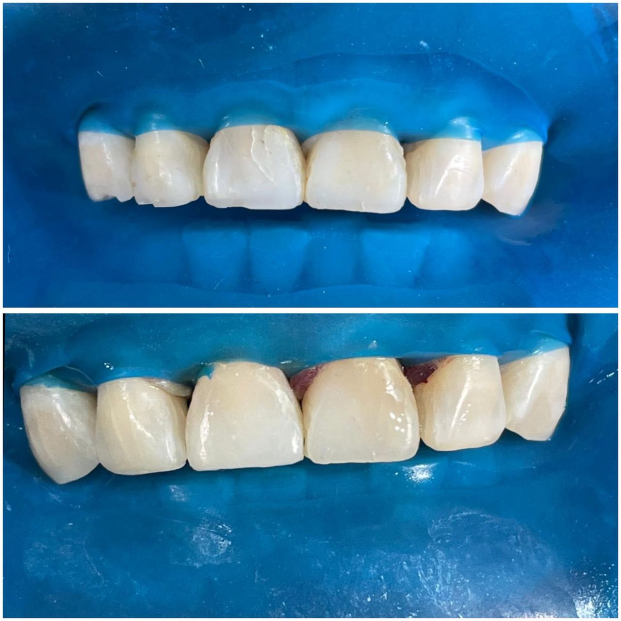 Maria Lourdes Pérez Jiménez-5