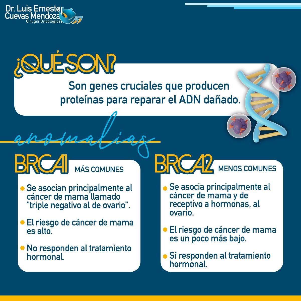 Luis Ernesto Cuevas Mendoza-297