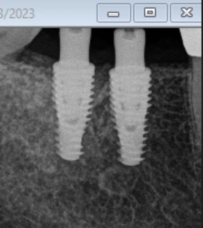 Alejandra Rodríguez Goncalves-20