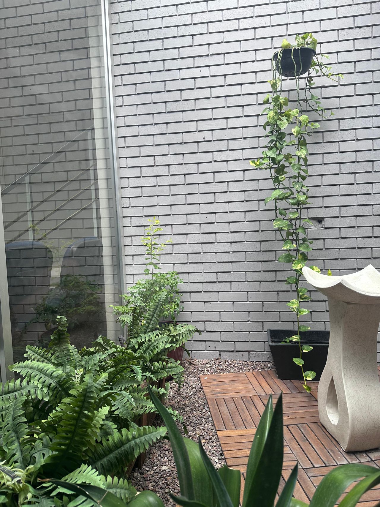 Aaron Eduardo Ramirez Chavarria-11