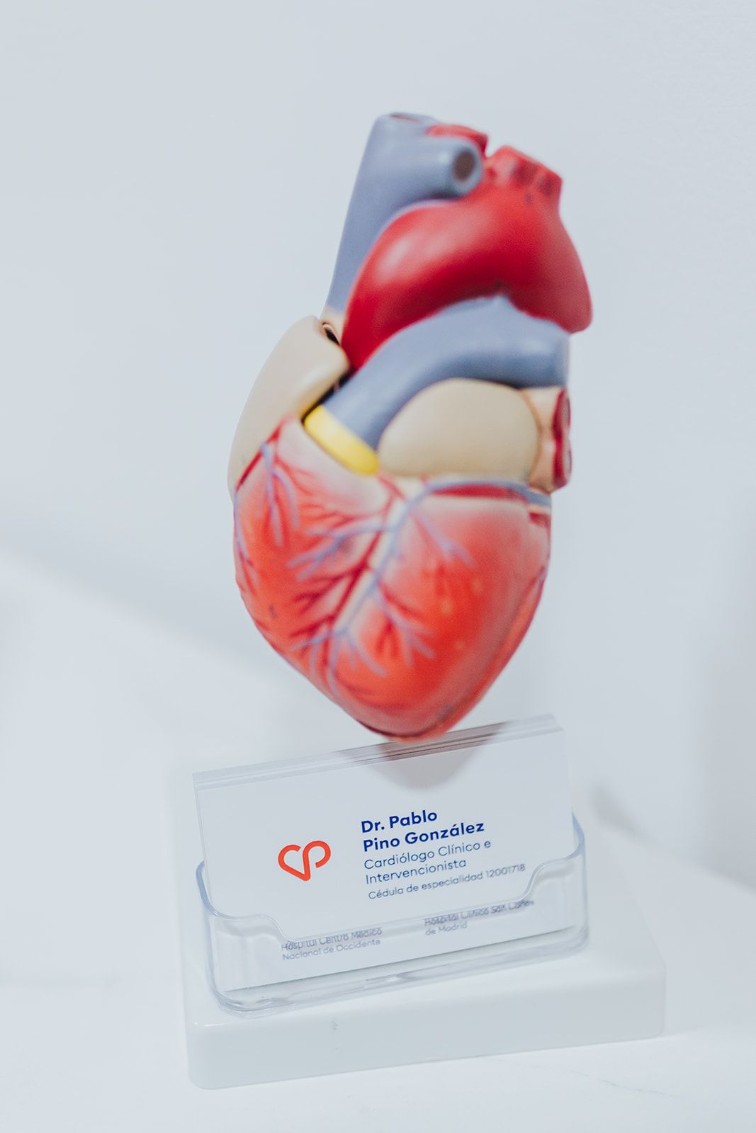 Pablo Pino González-7