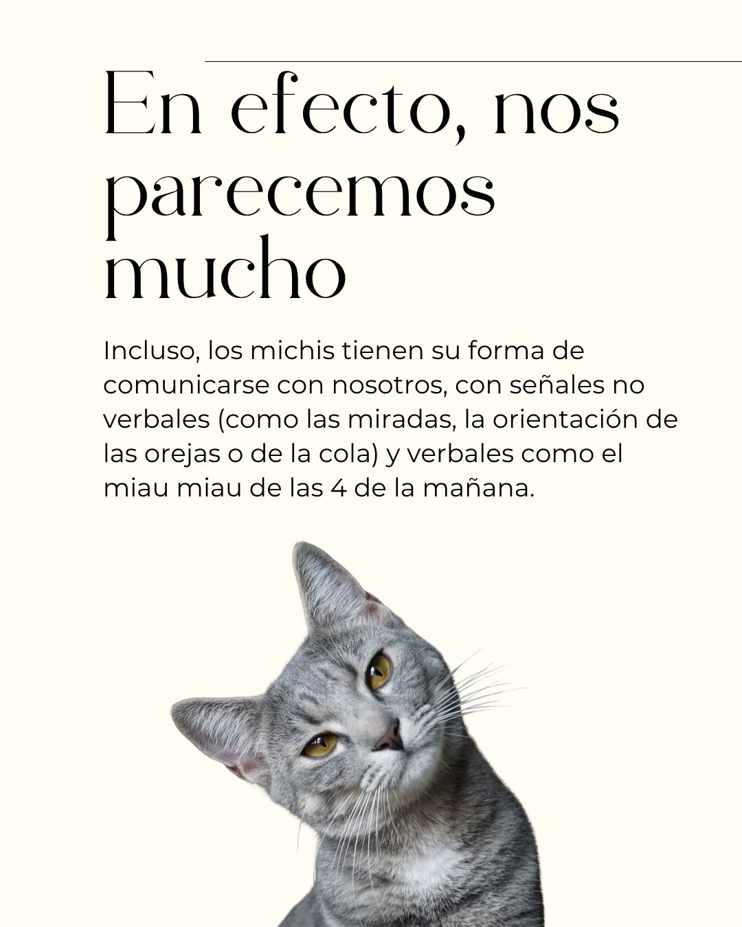 Lilia Carrillo Ugalde-4