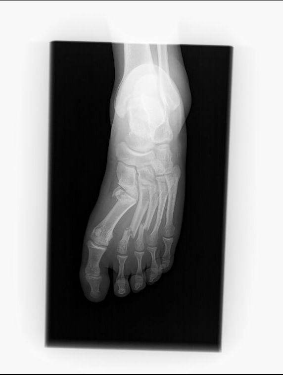 Salvador Medina Garnica-5