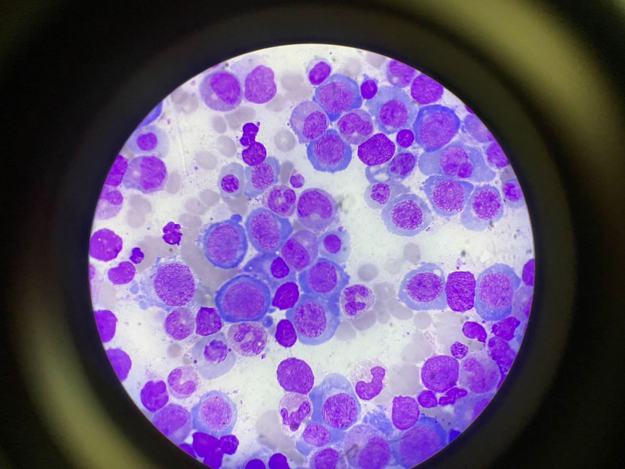 Irina Y. Cazares Martinez-13