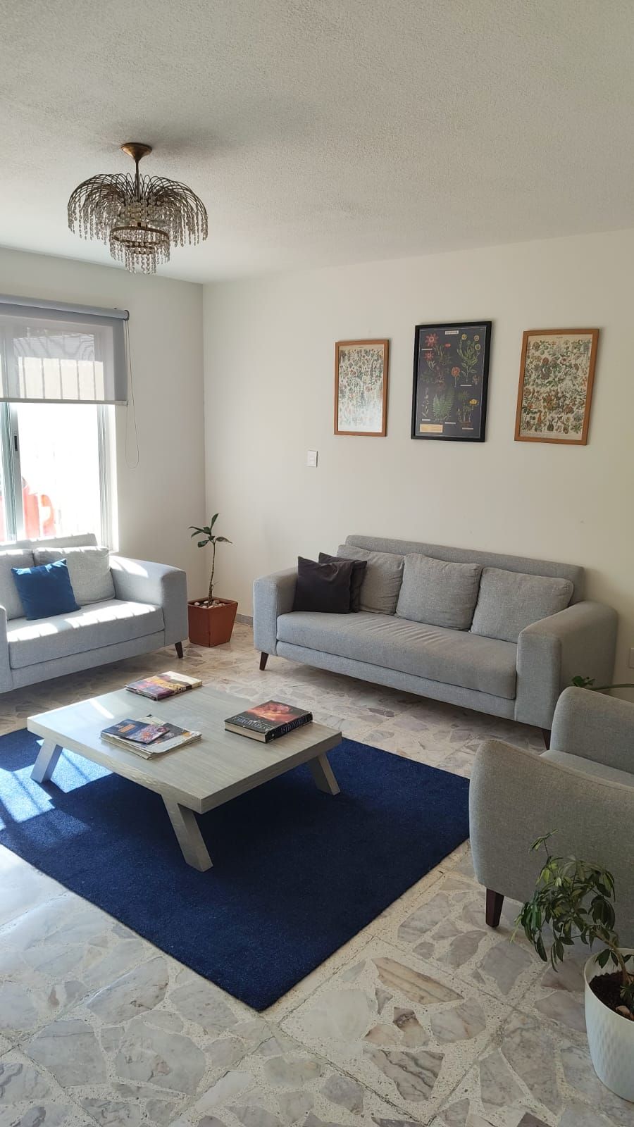 Miguel Angel Alfaro Rodriguez-1