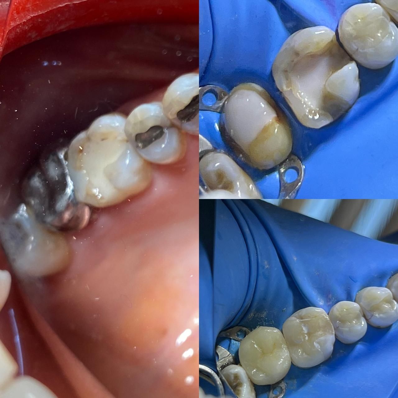 Maryadalma Vásquez-10