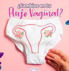 Francisco Xicoténcatl Rodriguez Quintero-3