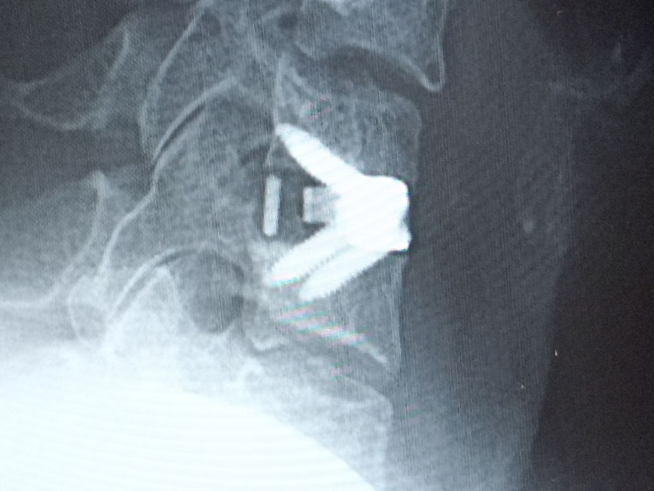 Francisco Prado Mercado-8