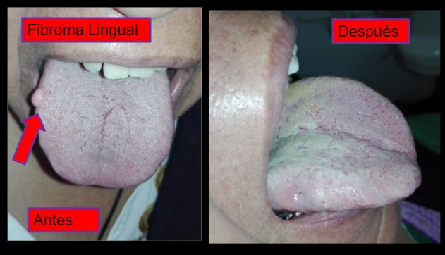 Diana Araceli Dávila Hernández-7