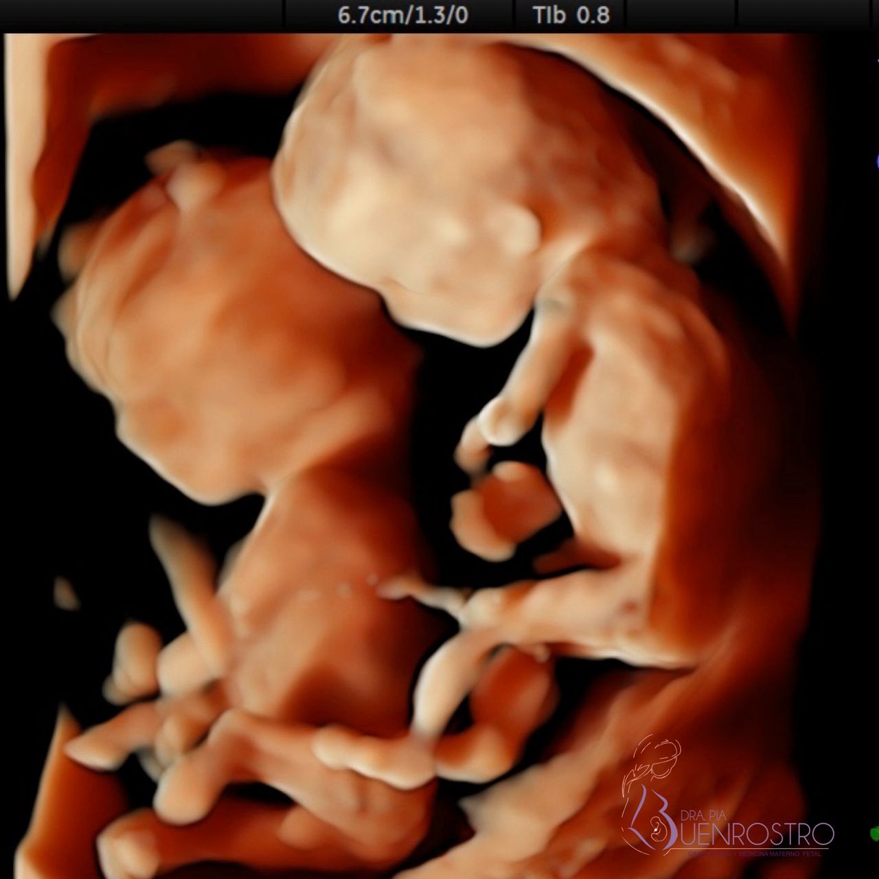 Pia Katery Buenrostro Cortés-3