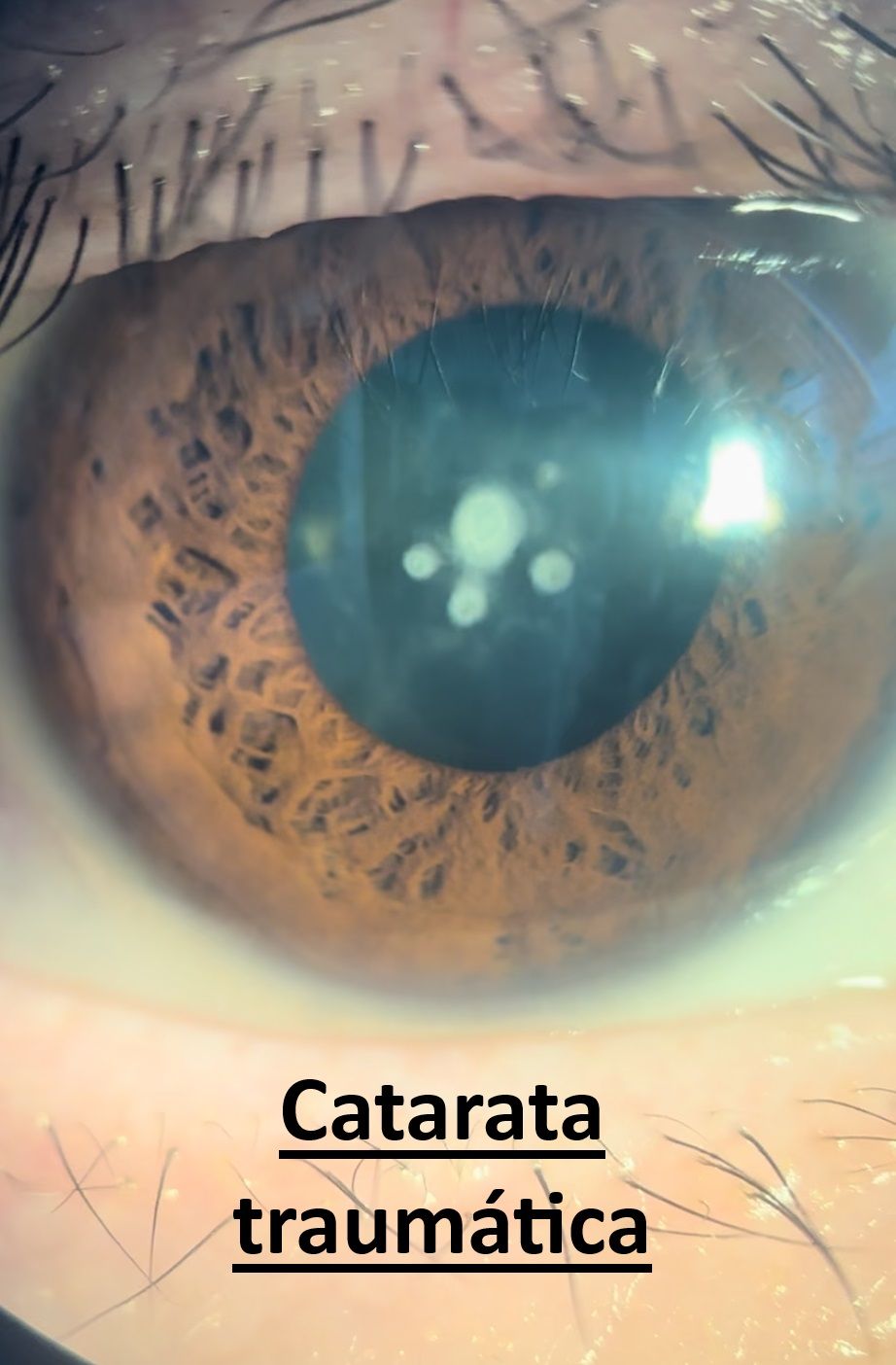 Andrea Cárdenas González-1