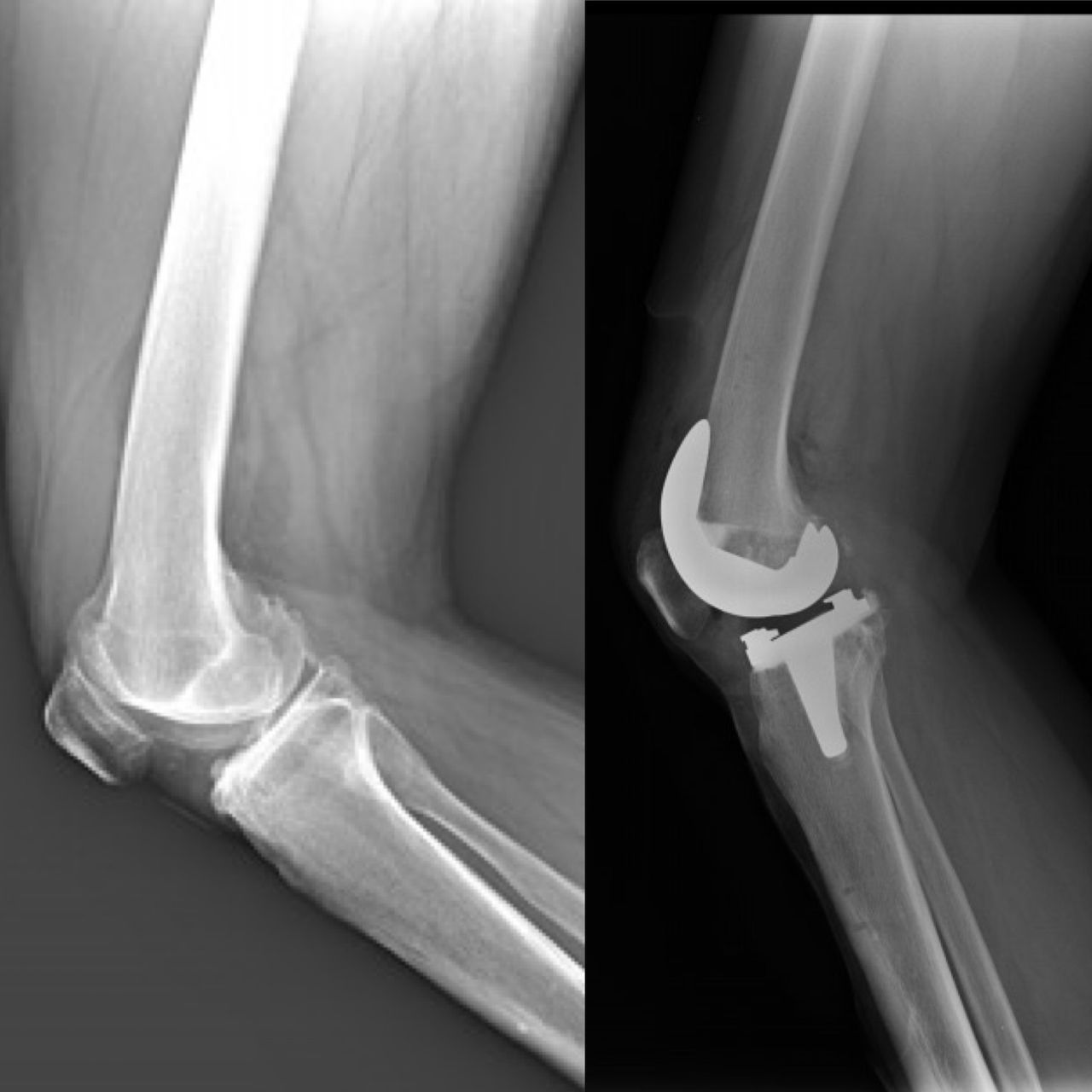 Alejandra Fuentes Martínez-14