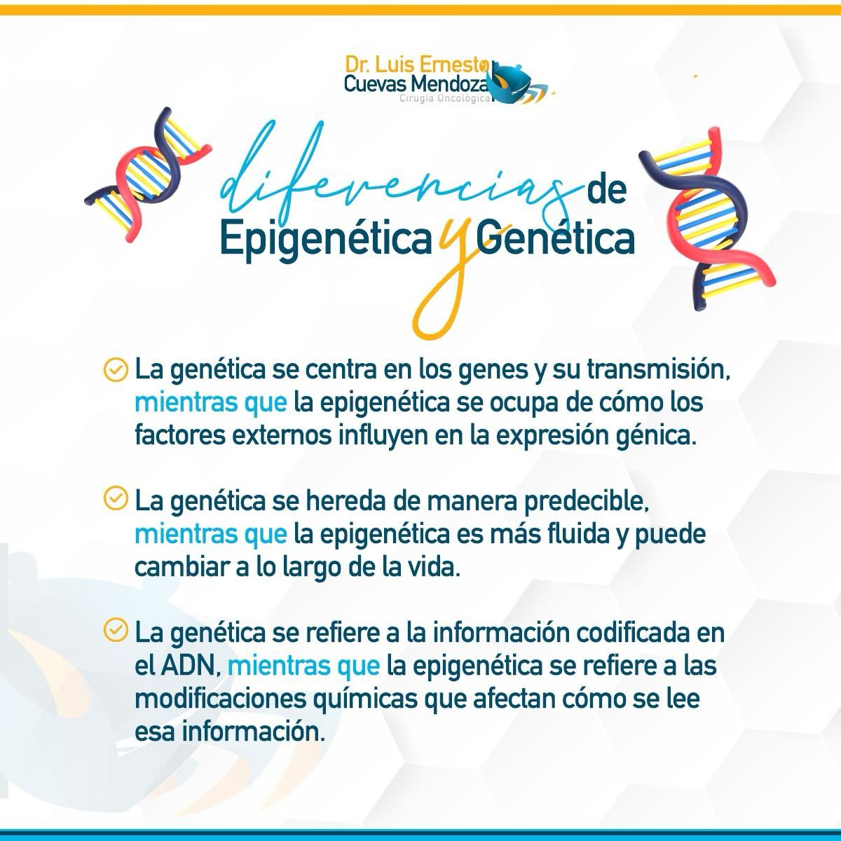 Luis Ernesto Cuevas Mendoza-301