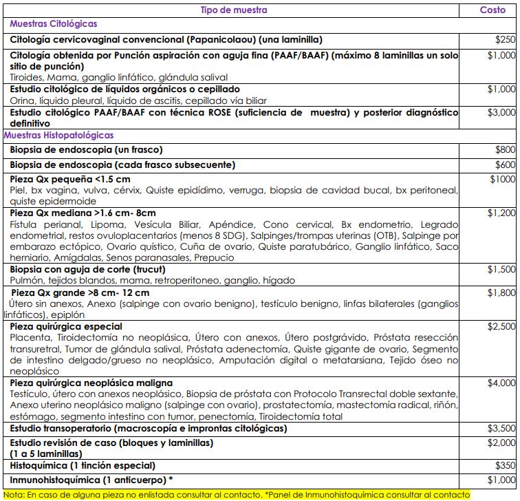 Ethel Montero Díaz-2