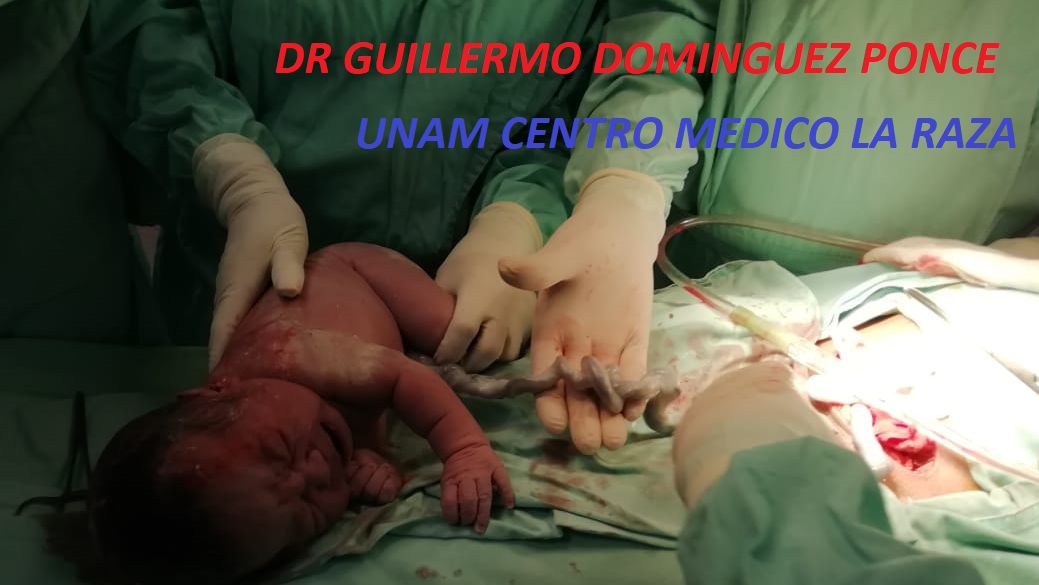 Guillermo Domínguez Ponce-1