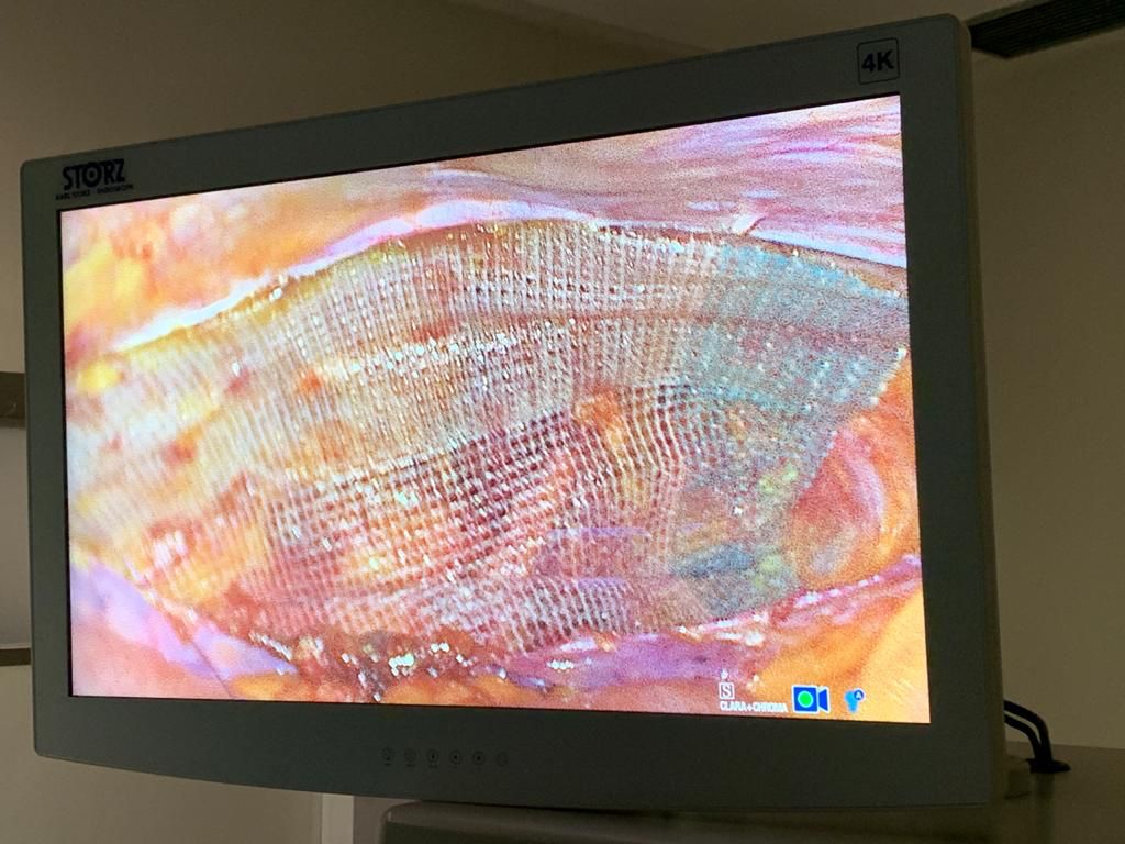 Gabriel Fernando González Ruiz-7