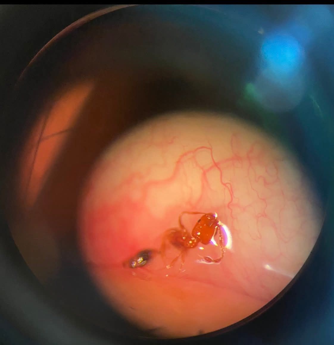 Álvaro Garza Arreola-3