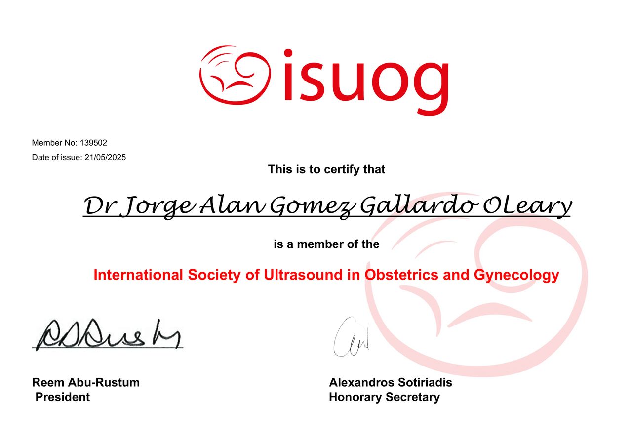 Jorge Alan Gómez Gallardo O'leary-4