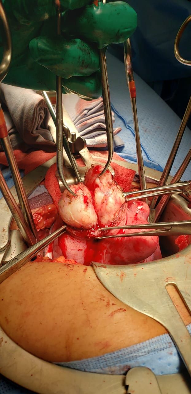 Nayeli Martínez Jaime-12