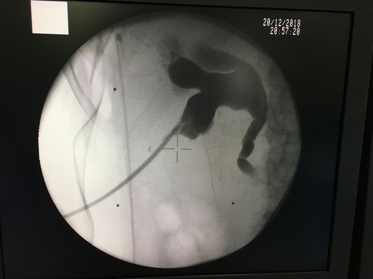 Ángel Iván Vázquez Pulgar-9