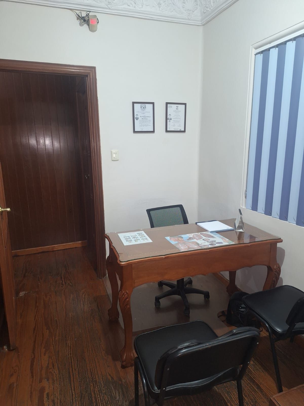 María Isabel Castrejón Vázquez-5