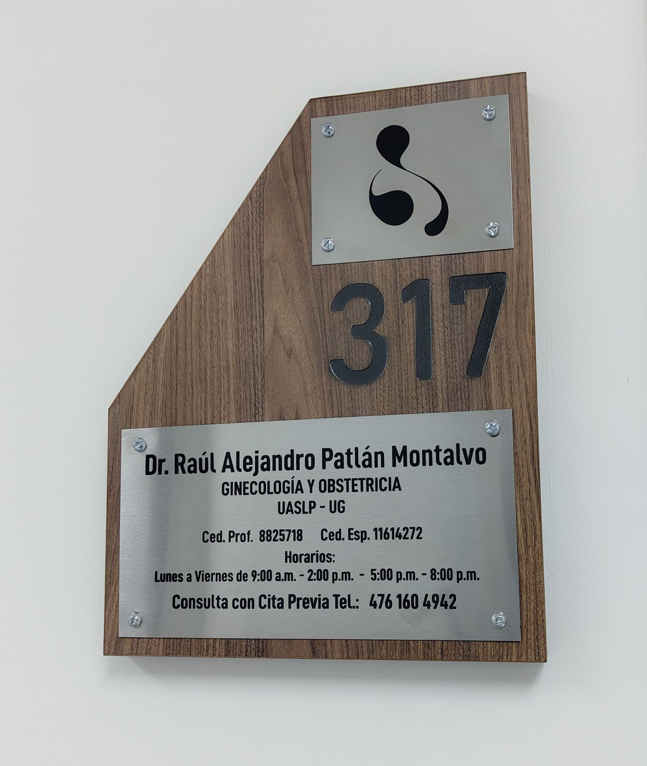 Raul Alejandro Patlan Montalvo-11