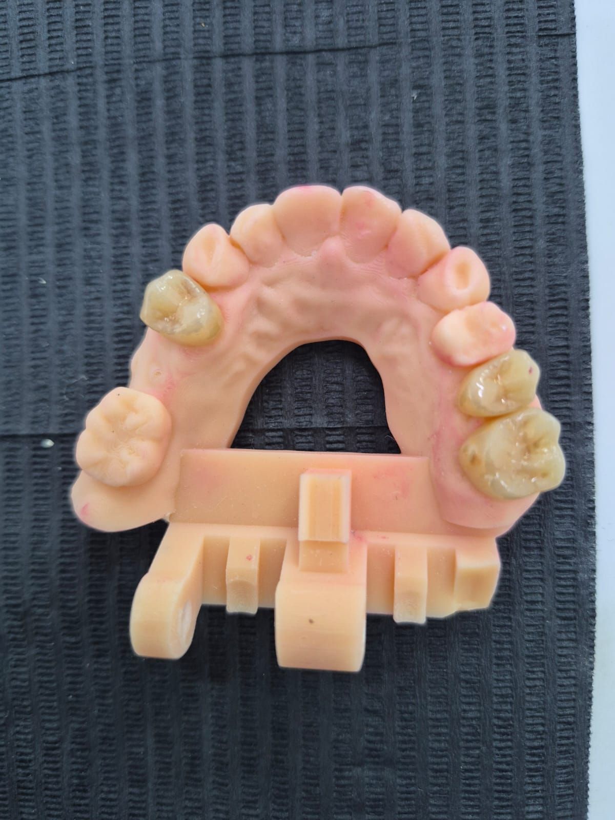 Ana Lucía Quintana Nájera-7