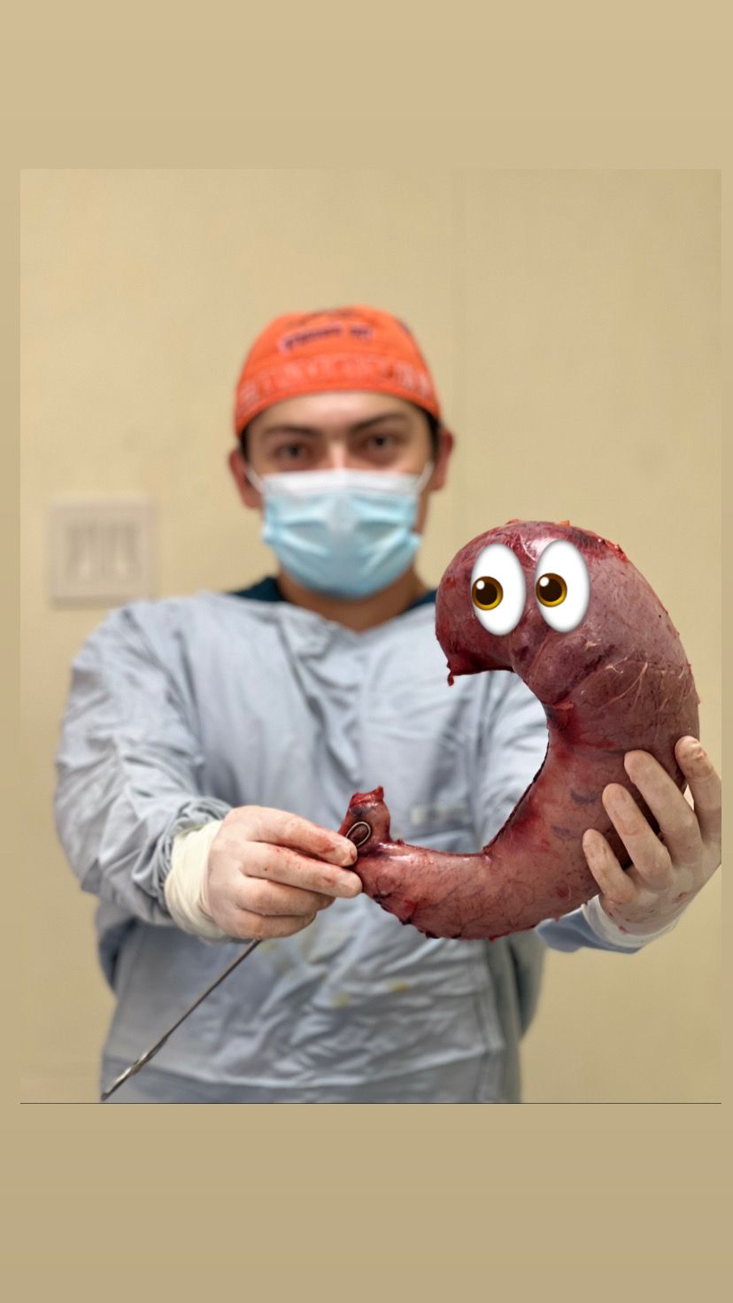 Manuel Alejandro Meza Jasso-5