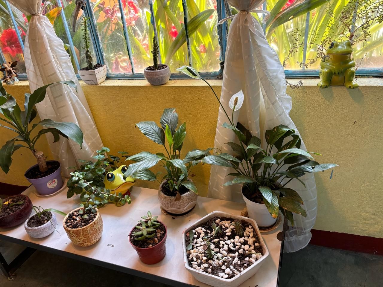 Alejandra Garcia  Flores-3