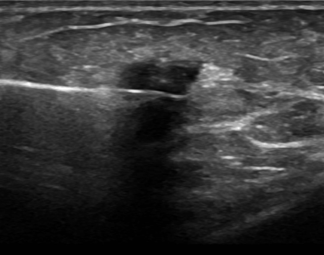 Luis Alonzo Briseño Salas-6