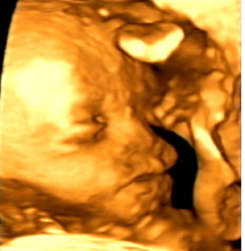 Mario López Franco-12