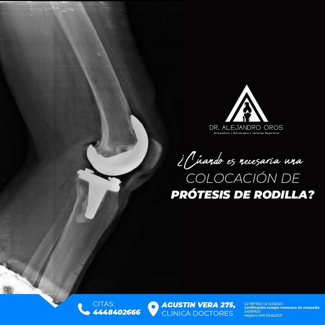 Alejandro Oros Estrada-11