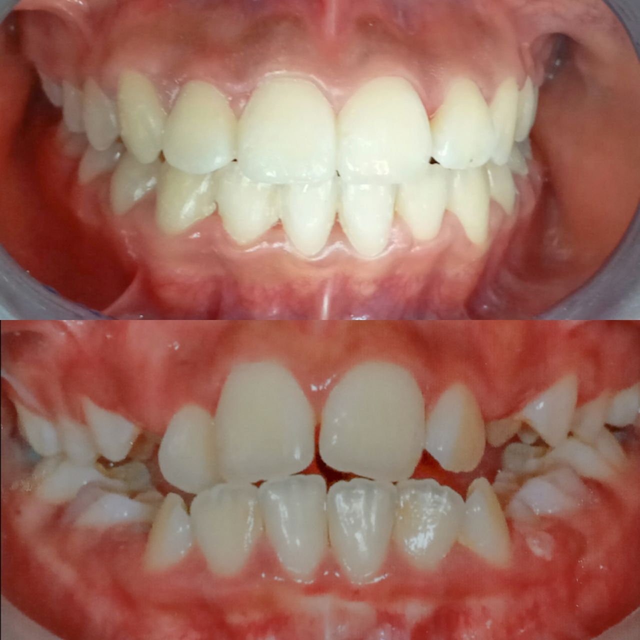 Octavio Alcántara Rangel-15