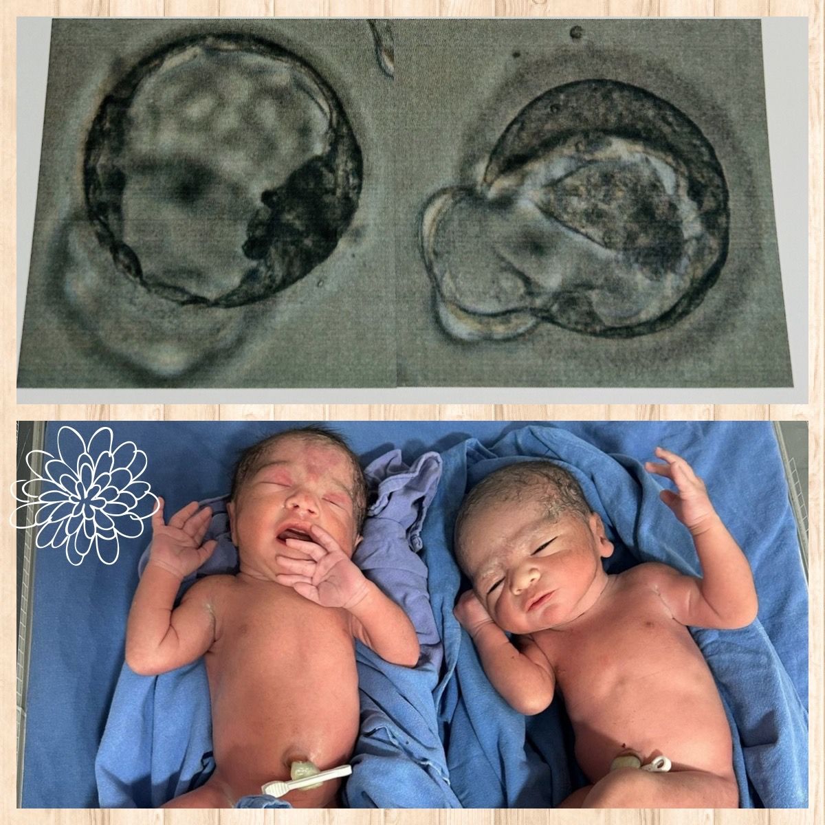 Elena Aguilar Segovia-29