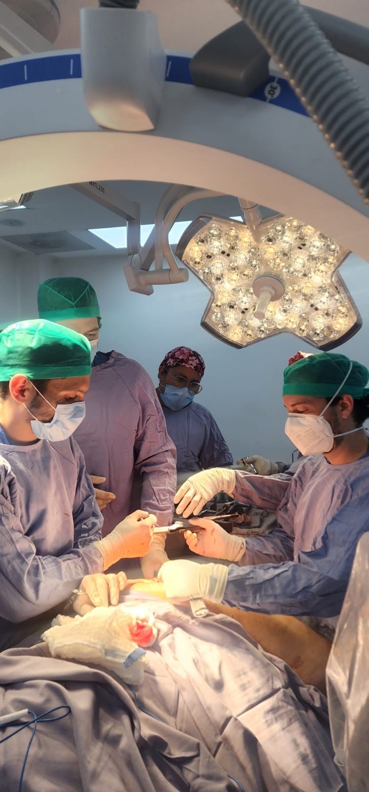 Mario Javier Ortiz De Montellano Gallaga-17