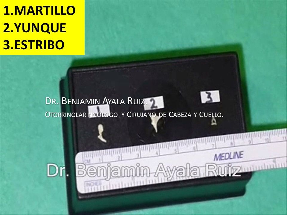 Benjamin Antonio Ayala Ruiz-12