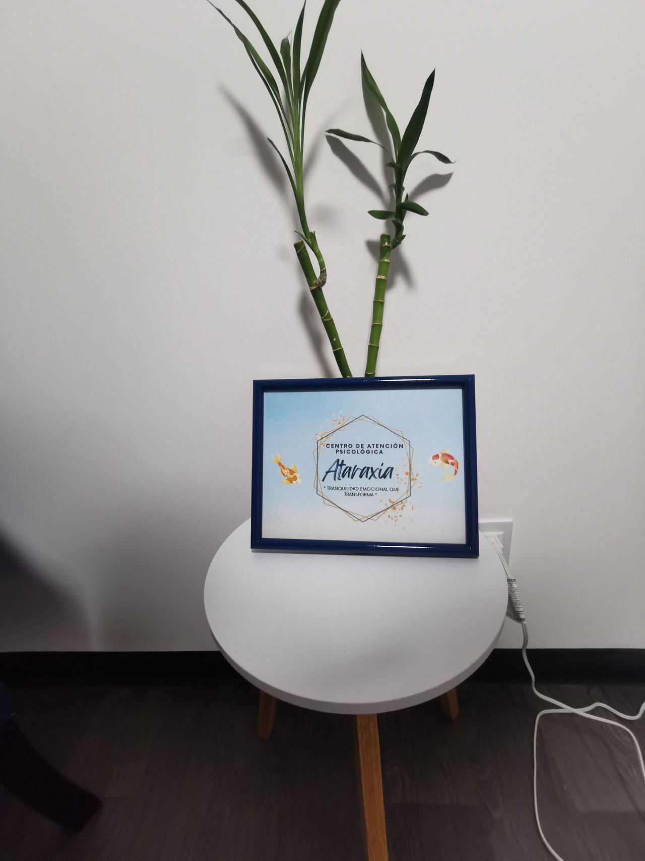 Ahuanda Roxana Esquivel Alcala-5