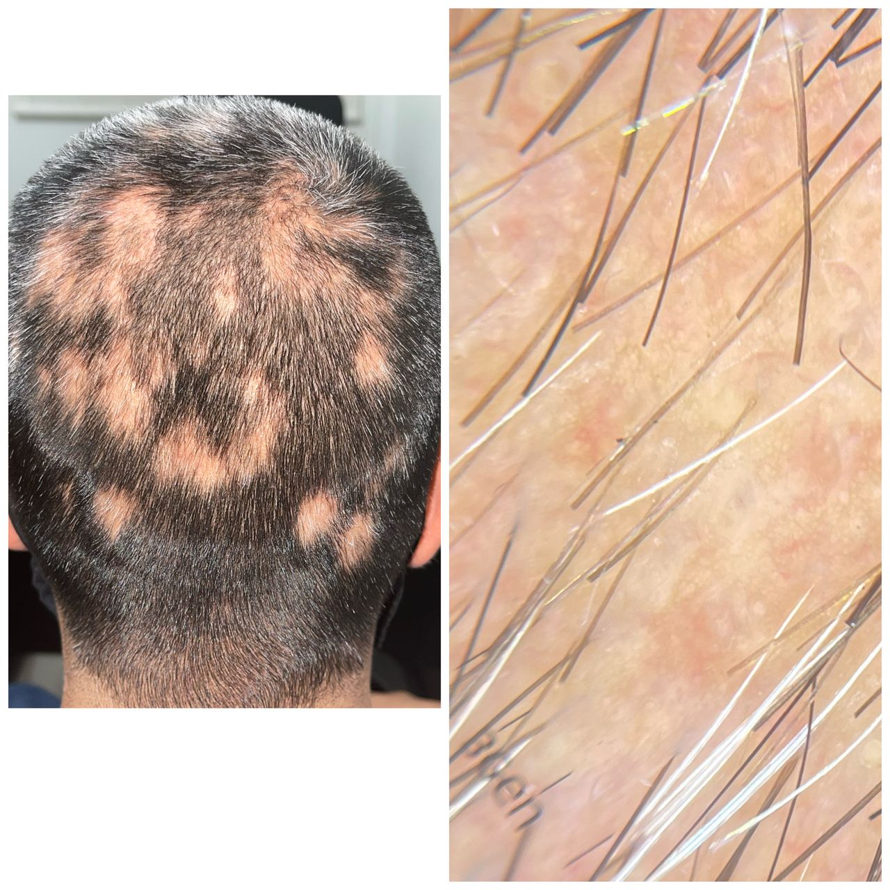 Alejandra Paola Castañeda Contreras-14