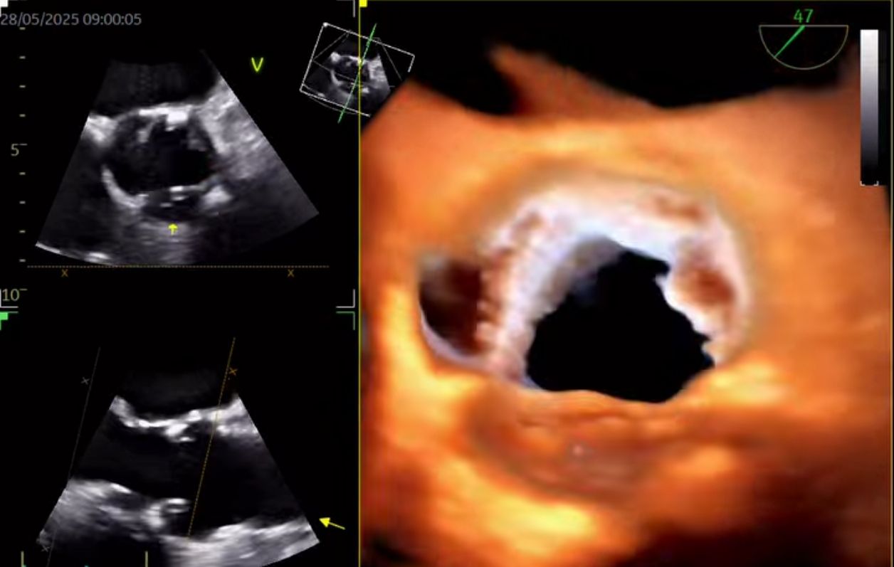 José Alberto Sánchez Toscano-1