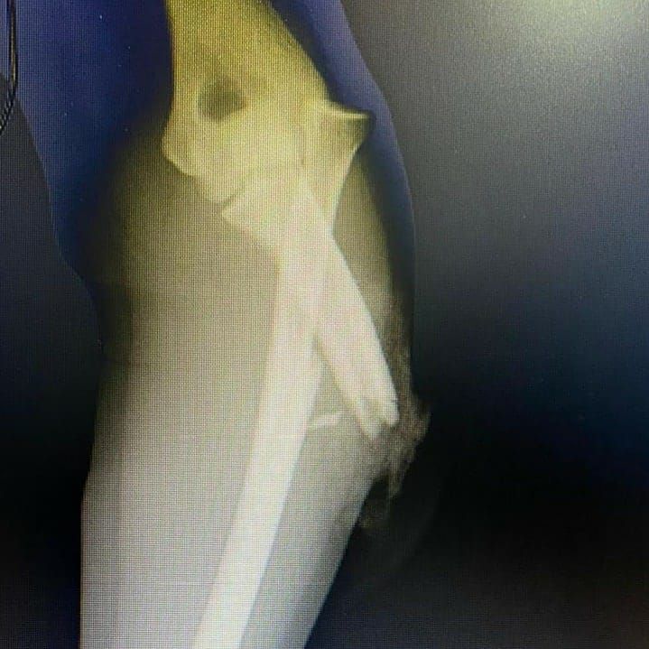 Caro Alonso Gómez-12