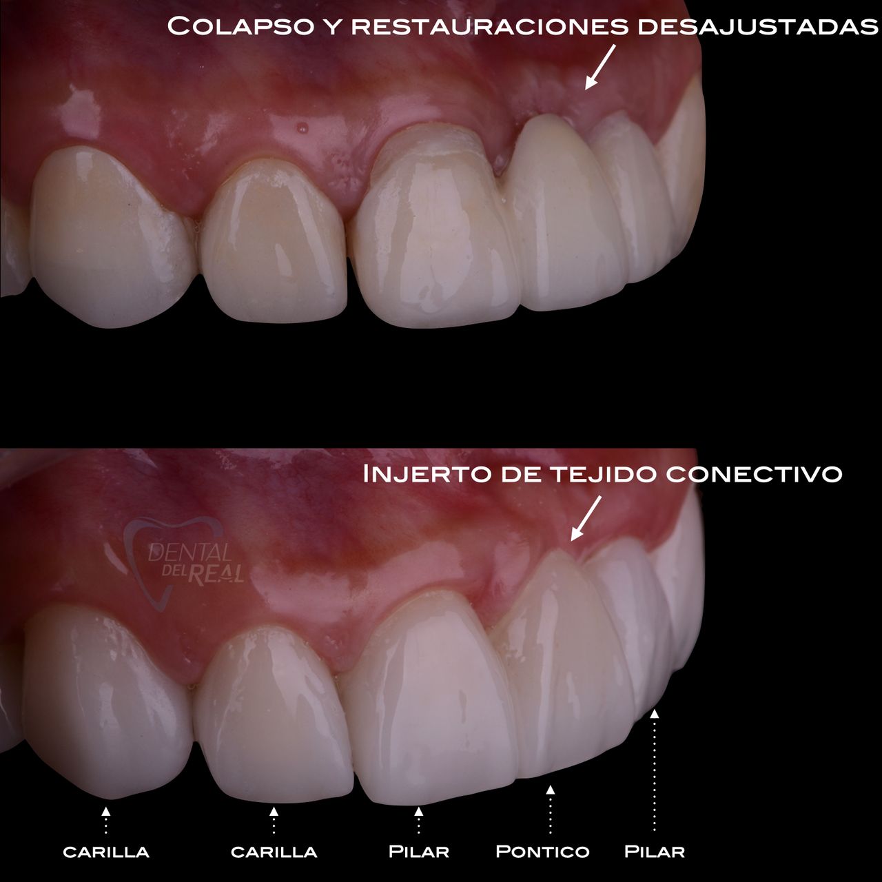 José Francisco Del Real García-52