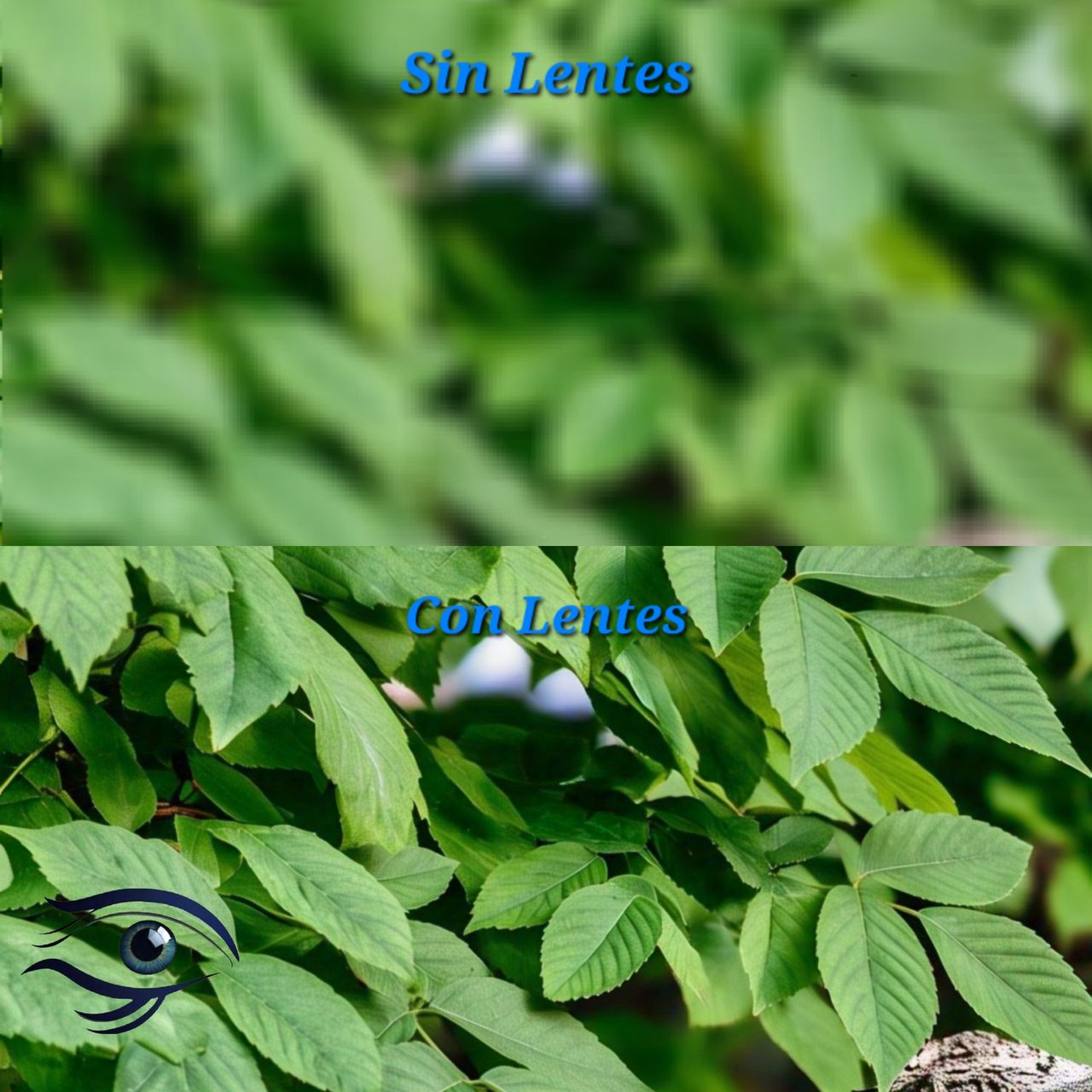 Dante Alan Guevara Villarreal-26