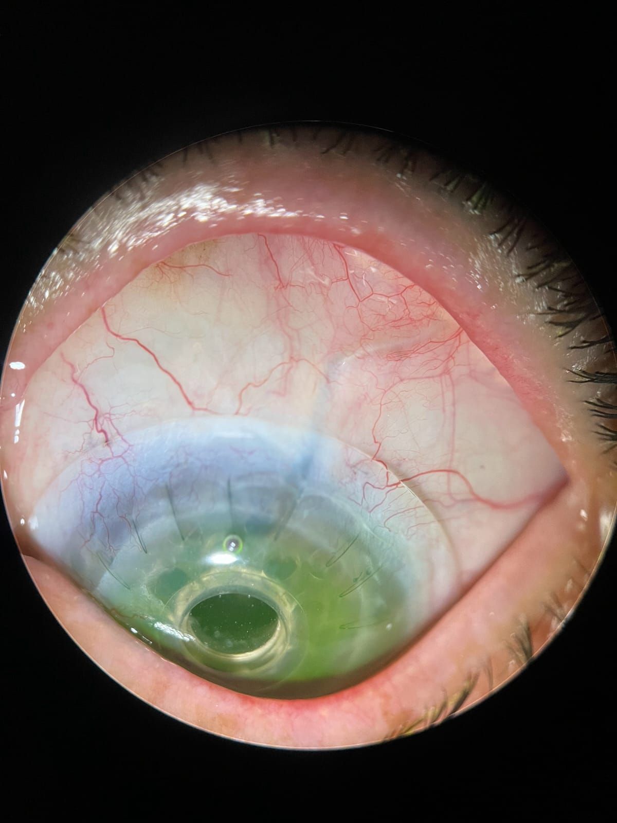 Omar Flores Cárdenas-19