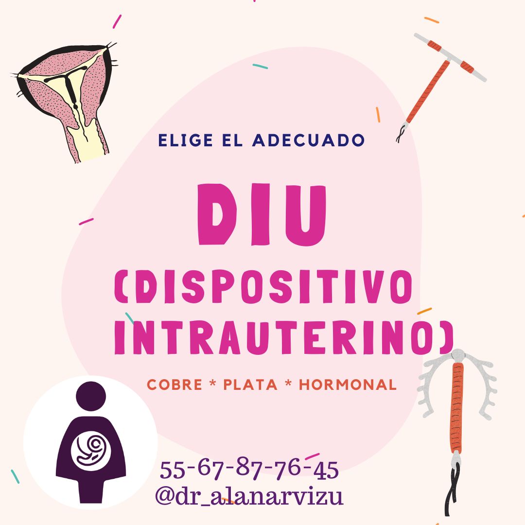 Alan Arvizu Armenta-1