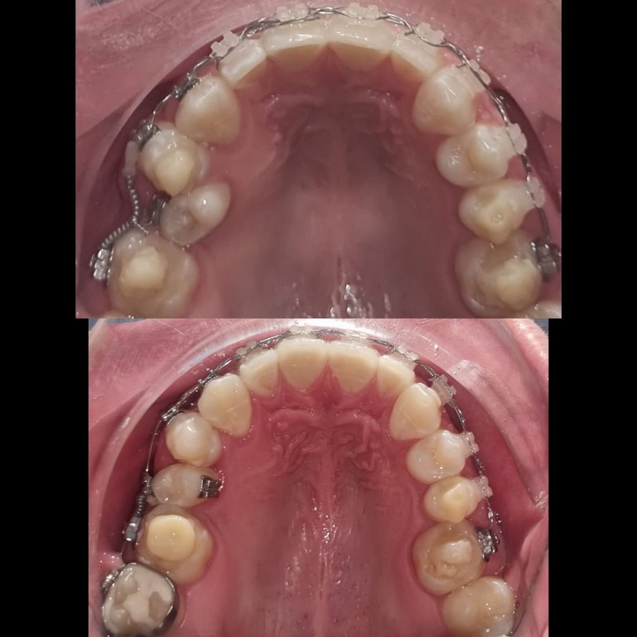 Tulia Andrade Rodriguez-5