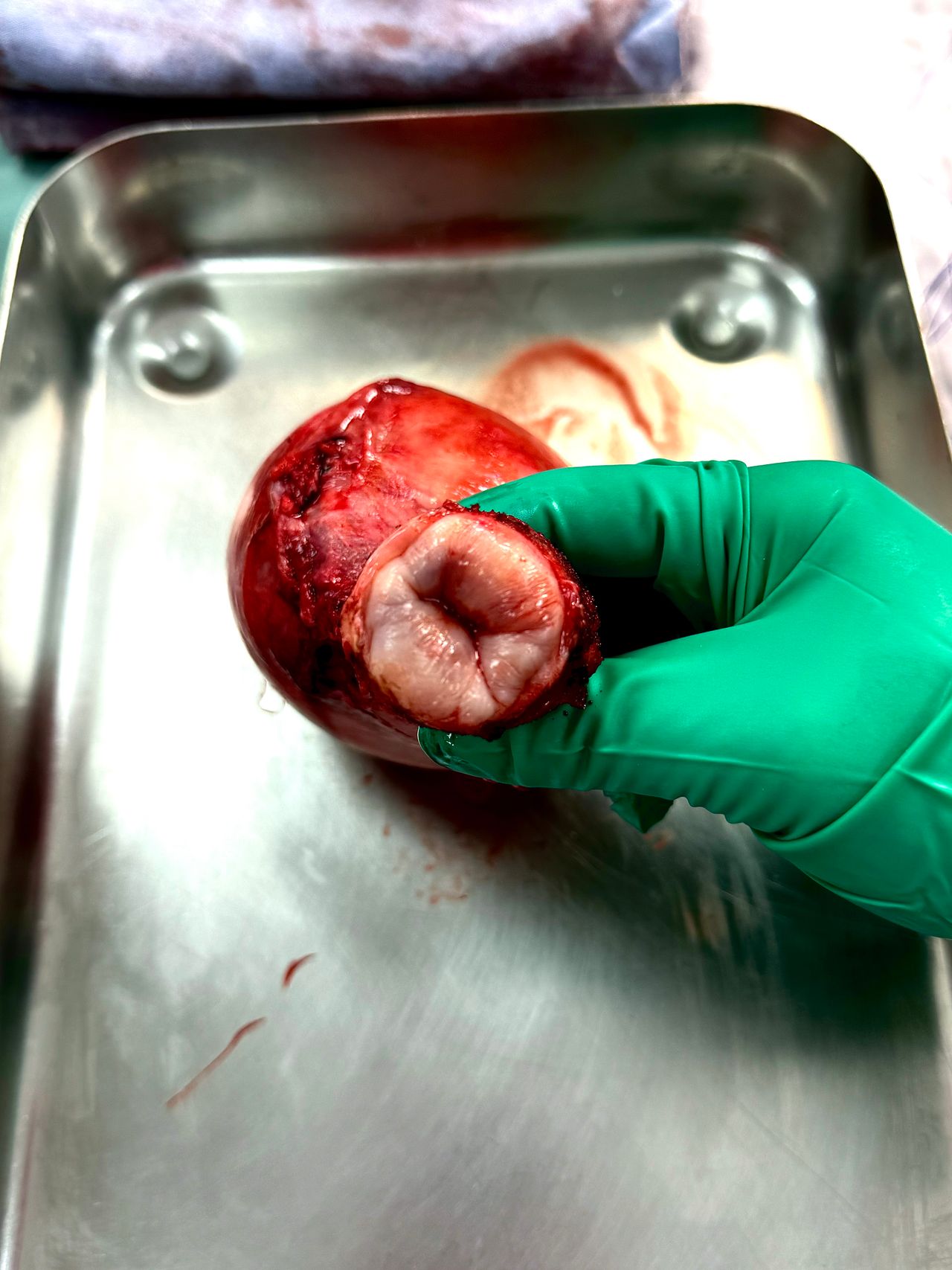 Alejandra Alizbeth Gonzalez Carrillo-52