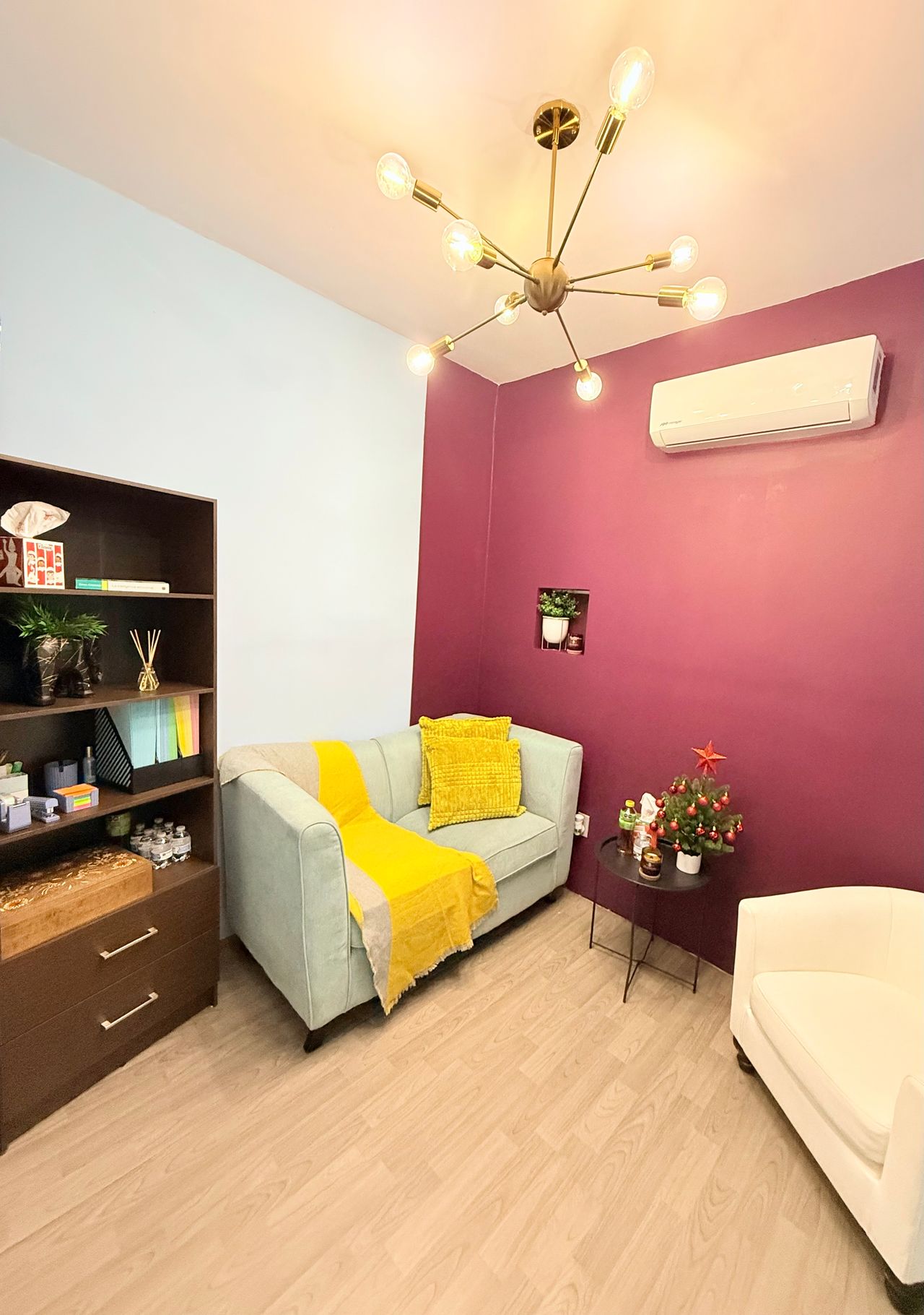 Antonio Junior Ibarra Salas-8