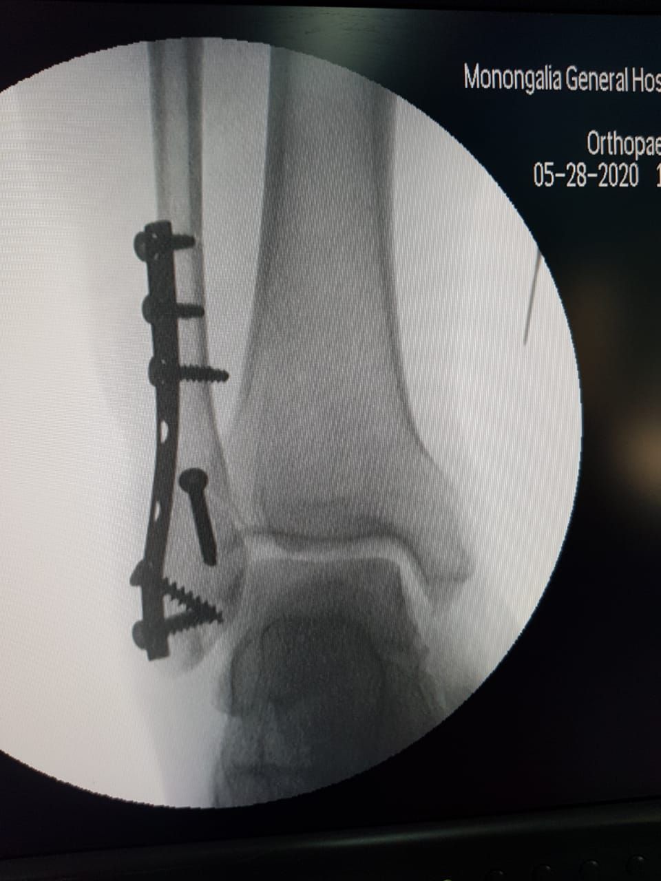 Jorge Zambada Loera-13