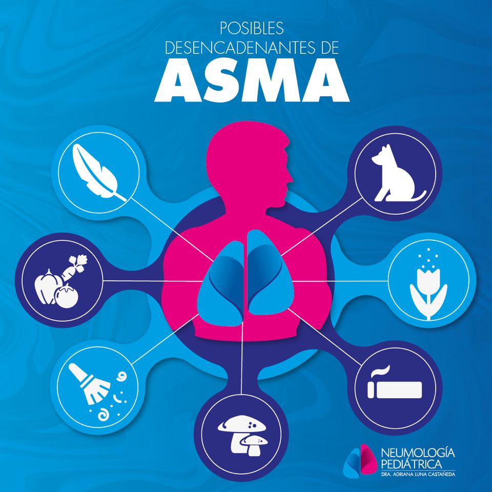 Adriana Luna Castañeda-13