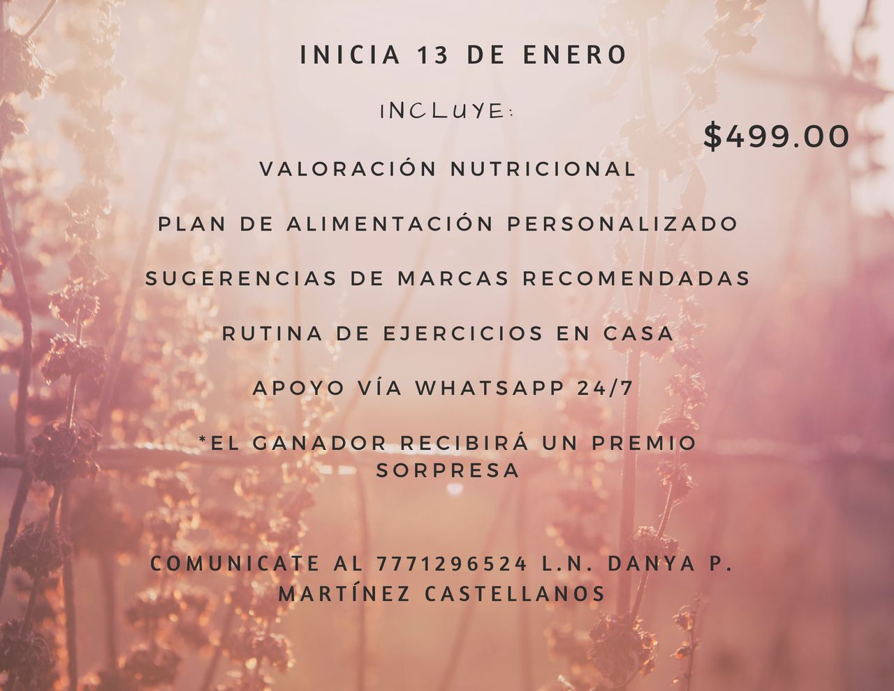 Danya Paola Martínez Castellanos-13